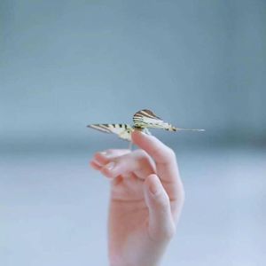 Meet your Posher, Sammy